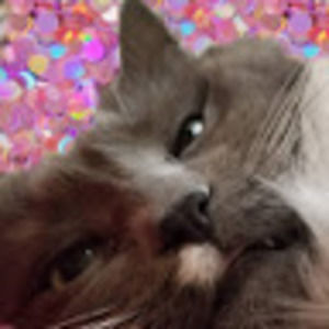 Meet your Posher, Step